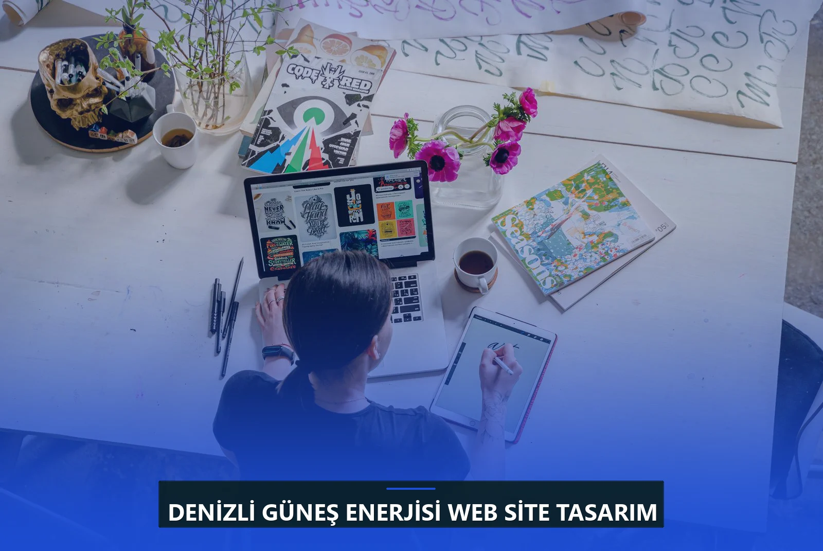 Denizli Güneş Enerjisi Web Site Tasarım
